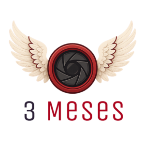 3 meses
